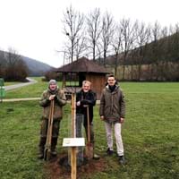 Obstbaum.jpg (1)